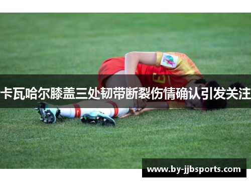 卡瓦哈尔膝盖三处韧带断裂伤情确认引发关注
