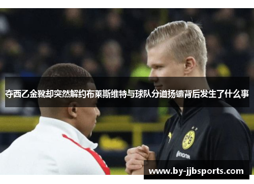 夺西乙金靴却突然解约布莱斯维特与球队分道扬镳背后发生了什么事